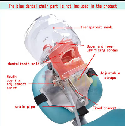 Simulator Dentar