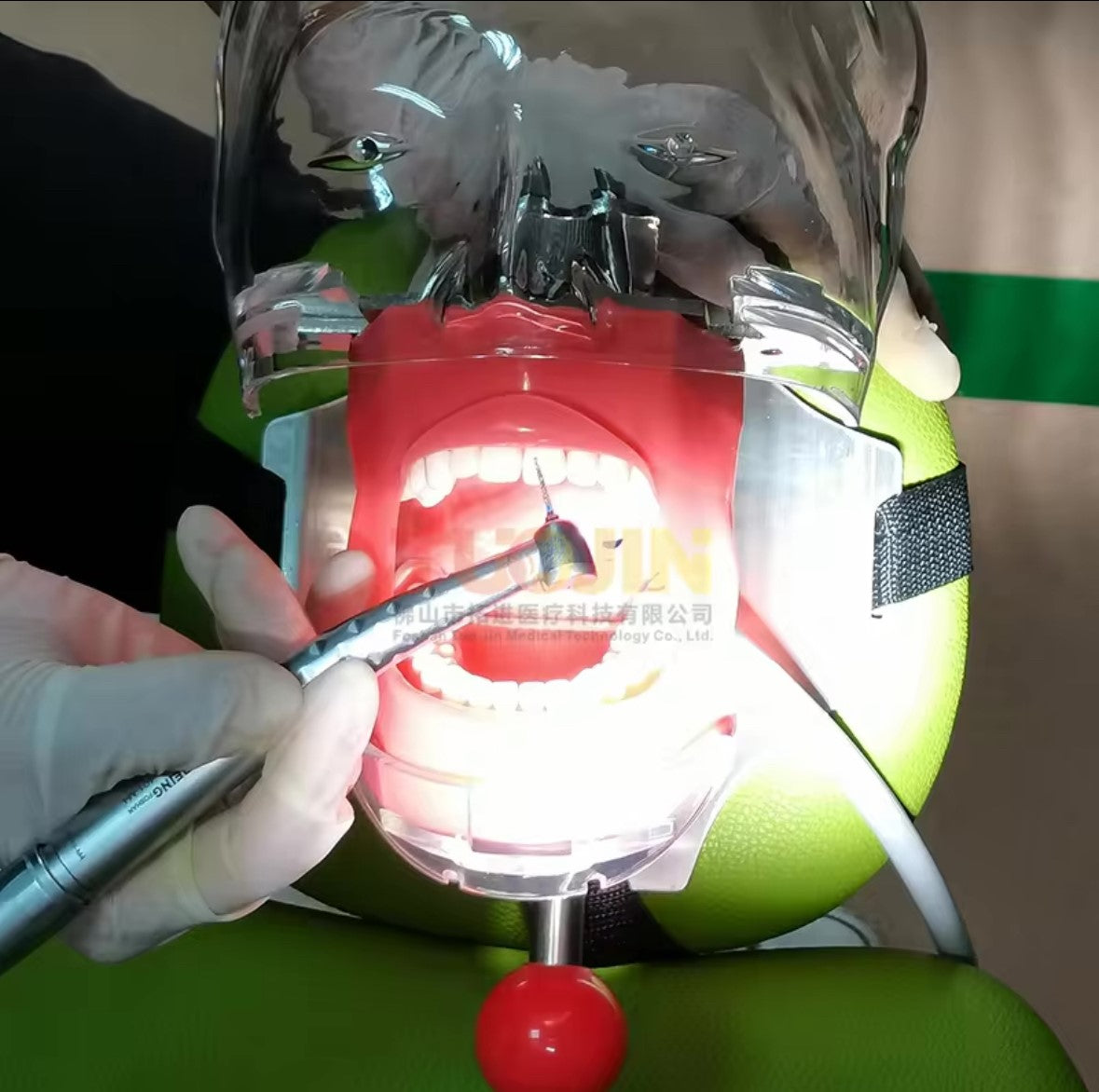 Simulator Dentar